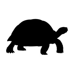 Download high resolution tortoise silhouette vector image for free turtle graphic design art