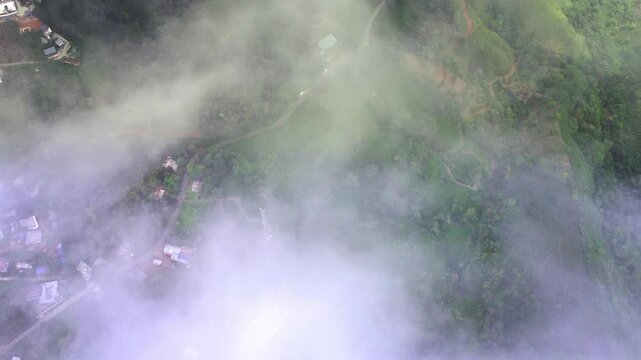 Ariel shot of tea plantations in vagamon, Kerala, India. Vagamon is a hill station located in Kottayam- Idukki border of Kerala	
