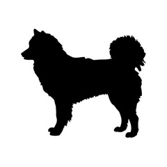 Find a perfect finnish spitz dog silhouette vector image for your design needs today online now
