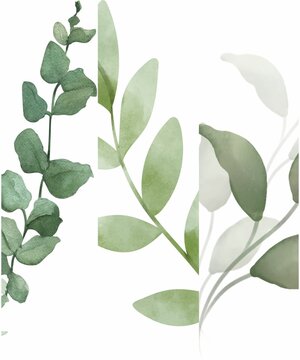 nuter leaves