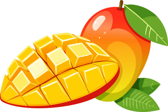 A fresh, non-realistic mango illustration showing whole and sliced pieces with tropical leaves, perfect for packaging or educational graphics.