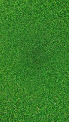 Grass pattern background