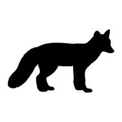 Black fox silhouette vector illustration wildlife animal canidae mammal predator hunting design art