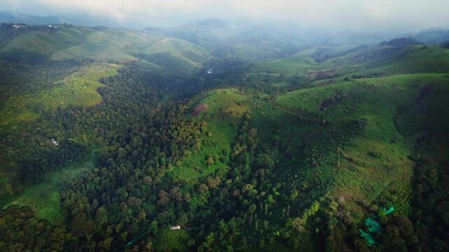 Beautiful ariel shot of Landdscape of Vagamon. It is famous for tea plantation. Vagamon is a hill station located in Kottayam- Idukki border of Kerala.
