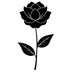 vector rose flower