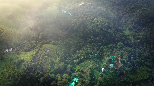 Beautiful ariel shot of Landdscape of Vagamon. It is famous for tea plantation. Vagamon is a hill station located in Kottayam- Idukki border of Kerala.
