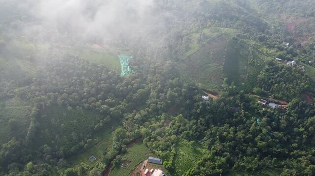 Beautiful ariel shot of Landdscape of Vagamon. It is famous for tea plantation. Vagamon is a hill station located in Kottayam- Idukki border of Kerala.

