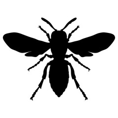 Discover the intricate silhouette of a wasp insect vector illustration for designs and art