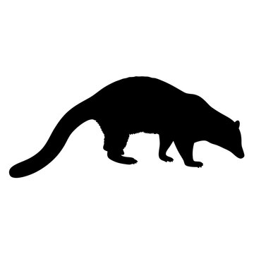 Black and white civet silhouette vector illustration, mammal animal graphic design template