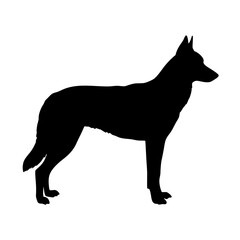 Dog silhouette vector art: german shepherd breed standing profile view isolated black shape design image