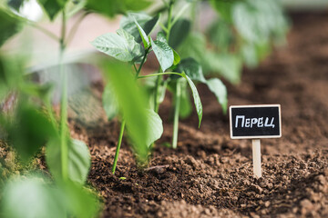 A sign with an inscription in Russian: 