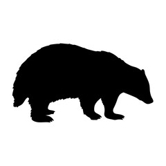Badger silhouette vector image for wildlife enthusiasts and graphic designers seeking high quality art