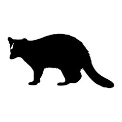 Black and white civet silhouette vector illustration for wildlife animal designs and prints use, art
