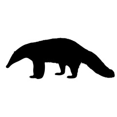 Discover the anteater silhouette vector image for wildlife enthusiasts and animal lovers everywhere today