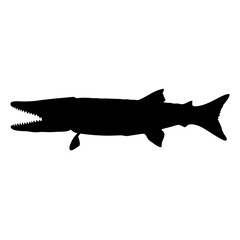 Discover the northern pike fish silhouette vector image predatory freshwater species design art