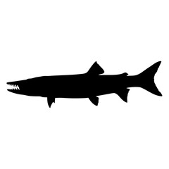 Barracuda fish silhouette vector illustration predatory sea animal marine life ocean wildlife design
