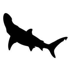 Shark silhouette vector illustration for ocean life themed designs and marine animal graphics projects
