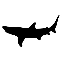 Isolated shark silhouette vector illustration for ocean wildlife and marine life designs and art