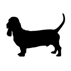Silhouette of a basset hound dog breed vector illustration for pet lovers and dog owners art