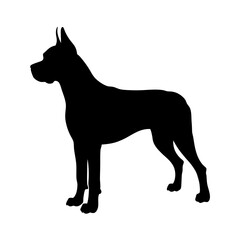Great dane dog silhouette vector illustration of purebred dog breed standing profile view isolated
