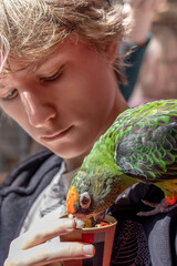  Teen feeding parrot in petting zoo. Selective focus