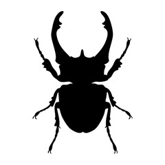 Silhouette of stag beetle vector illustration insect beetle wildlife nature entomology graphic design