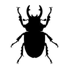 Silhouette of stag beetle insect vector graphic design for entomology and nature enthusiasts project