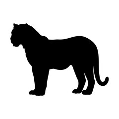 Black panther vector illustration of a big cat predator silhouette for graphic design and art projects