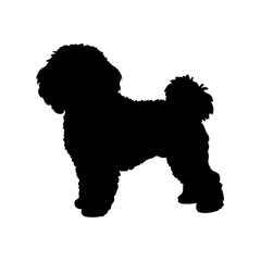 Explore black poodle silhouette vector art for dog lovers and pet design enthusiasts online now