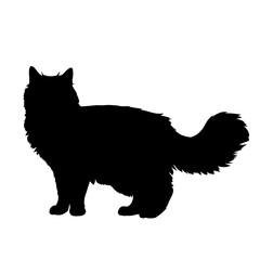 Black cat silhouette vector illustration of fluffy long haired cat standing side view domestic animal pet