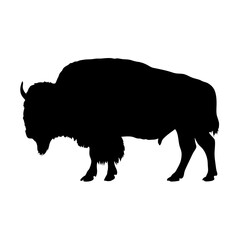 Bison silhouette vector illustration buffalo animal wildlife mammal nature graphic art design image