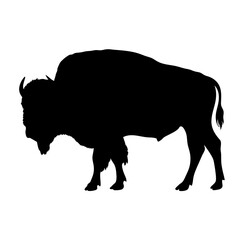 Explore the majestic bison silhouette vector art wildlife illustration american buffalo design graphic