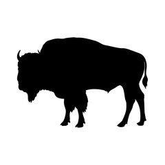 Black bison silhouette vector illustration, wildlife animal, north american buffalo mammal design art
