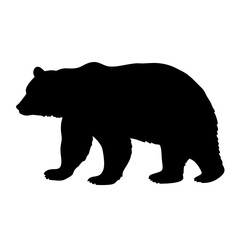 Bear silhouette vector illustration wildlife animal grizzly bear black bear walking mammal design art graphic