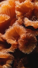 Intricate coral polyps revealing the unseen beauty of marine life