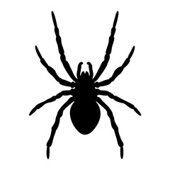 Spider silhouette vector illustration arachnid insect halloween creepy animal graphic design art