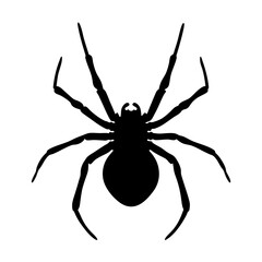 Black spider silhouette vector illustration arachnid insect halloween creepy danger poisonous eight legs arachnophobia