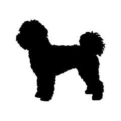 Silhouette of a poodle dog breed black vector illustration dog silhouette animal poodle design art