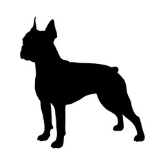 Silhouette of boxer dog breed pet canine animal mammal domestic friend pedigree companion doggy boxer