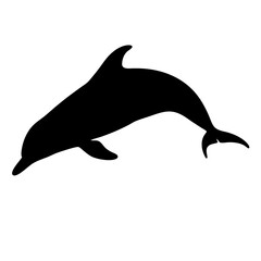 Dolphin silhouette vector image marine mammal ocean sea wildlife aquatic animal illustration design graphic