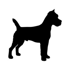 Silhouette of a cane corso italian mastiff dog breed pet animal canine domestic mammal companion guard dog