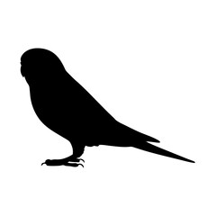 Silhouette of a bird, parakeet, budgie, avian, pet, animal, nature, wildlife, perched, vector art