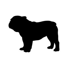 Black bulldog silhouette vector illustration of english bulldog pet animal breed dog graphic design art, vector
