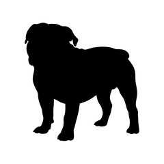 Bulldog vector art silhouette illustration of cute dog breed pet animal graphic design image drawing