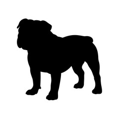 Silhouette of a bulldog pet animal dog breed canine domestic mammal companion puppy vector image art