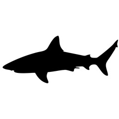 Shark silhouette ocean predator marine life sea animal underwater wildlife dangerous creature vector illustration