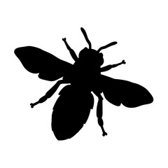 Silhouette of a bee insect flying bee silhouette insect vector illustration honeybee design art