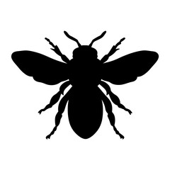 Silhouette of a bee insect flying honeybee illustration vector drawing bumblebee apiary design graphic