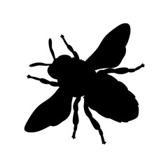Black bee silhouette vector graphic honeybee insect bumblebee design illustration clip art image