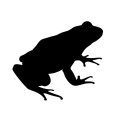 Black frog silhouette vector illustration amphibian animal wildlife nature design graphic art image